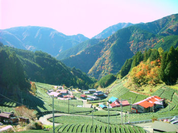 静岡のマチュピチュ