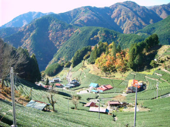 奥静岡