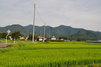 久保山（松茸山）